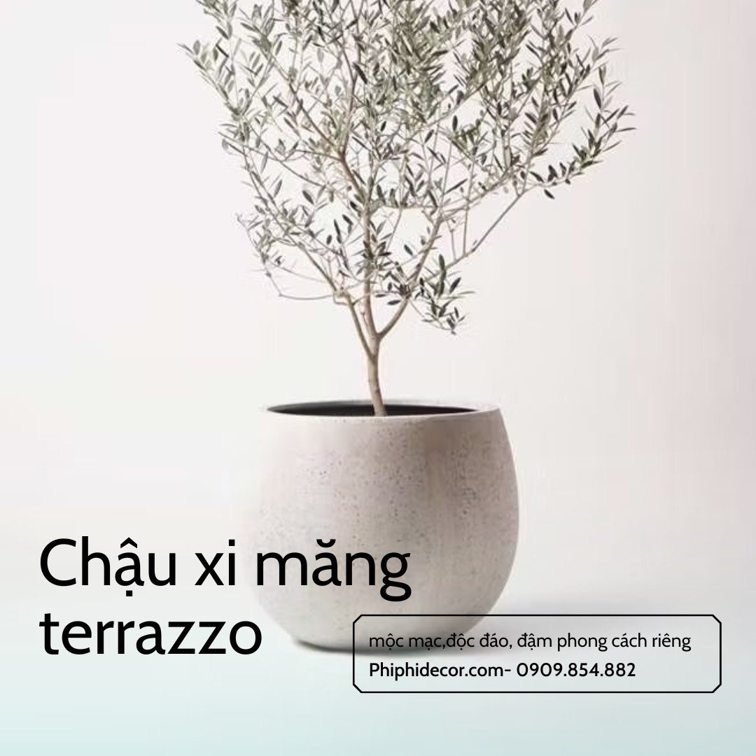 CHẬU XI MĂNG TRÒN